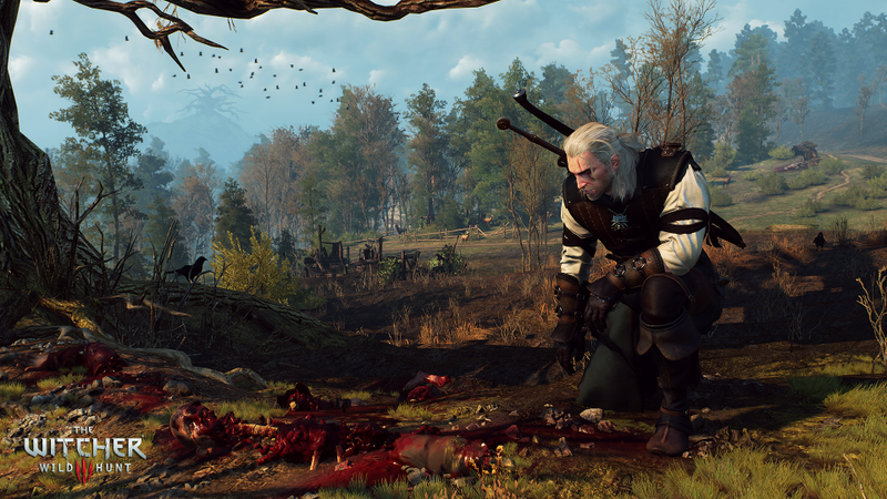 Illustration for article titled I Played The Witcher 3 And I Still Have Some Doubts